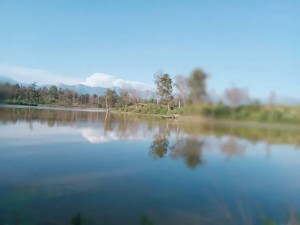 संरक्षणका पर्खाइमा शुक्लाफाँटामा ताल